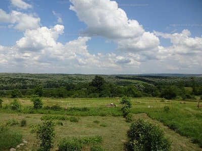 Eladó termőföld, szántó - Szigetvár, Bara dűlő