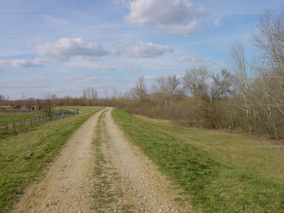 Eladó termőföld, szántó - Tiszaújváros, Borsod-Abaúj-Zemplén megye