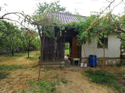 Eladó üdülőházas nyaraló - Hódmezővásárhely, Csongrád-Csanád megye