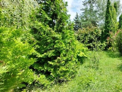 Eladó üdülőövezeti telek - Balatonszárszó, Somogy megye