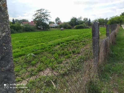 Eladó üdülőövezeti telek - Debrecen, Bayk András-kert