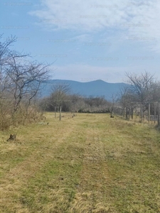 Eladó üdülőövezeti telek - Pilismarót, Tavasz utca