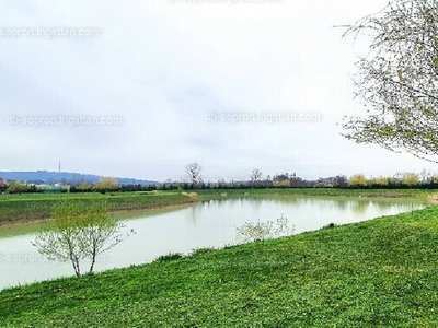 Eladó üdülőövezeti telek - Sopron, Győr-Moson-Sopron megye