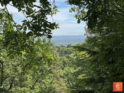 Eladó üdülőövezeti telek - Szentendre, Tyúkosdűlő