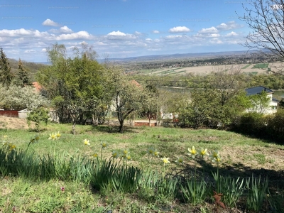 Eladó üdülőövezeti telek - Szentendre, Vadász utca