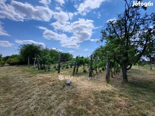 Eladó Mezőgazdasági, Balatonszabadi