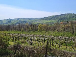 Eladó telek Lesencefalu