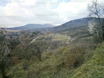 Eladó külterületi telek - Pomáz, Susnyár