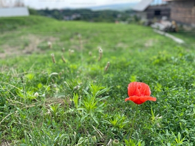 Eladó lakóövezeti telek - Szada, Szőlőhegy