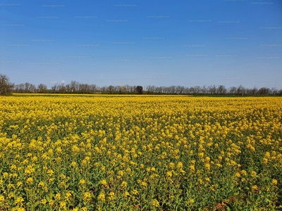 Eladó lakóövezeti telek - Vág, Győr-Moson-Sopron megye