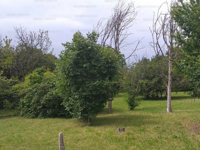 Eladó lakóövezeti telek - XXII. kerület, Budafok