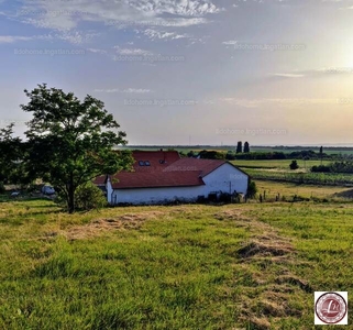 Eladó tanya - Balatonszabadi, Somogy megye