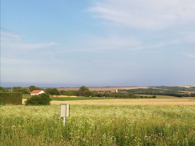 Eladó Baranya megyében, Hosszúhetényi 1431 nm-es lakóövezeti telek - Hosszúhetény, Baranya - Telek, föld