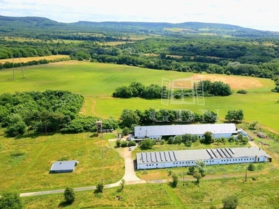 Zalaszántó, ingatlan, ház, 1600 m2, 239.524.170 Ft