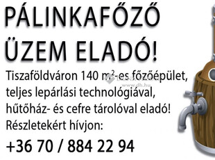 Tiszaföldvár