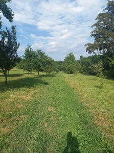 Kaposfüred, Kaposvár, ingatlan, ház, 6124 m2, 16.500.000 Ft