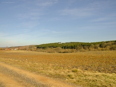 Litér, ingatlan, mezőgazd. ingatlan, 17550 m2, 14.000.000 Ft