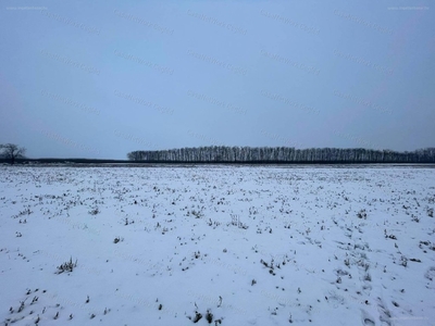 Monor, ingatlan, mezőgazd. ingatlan, 12.500.000 Ft