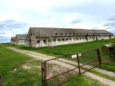 Zámoly, ingatlan, mezőgazd. ingatlan, 4300 m2, 125.000.000 Ft