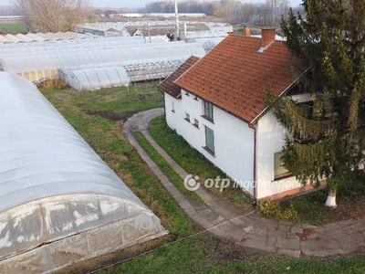 Balástyán termálvízzel fűtött, üvegházas birtok eladó - Balástya, Csongrád-Csanád - Termőföld