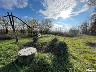 Eladó Tanya 5755 m2 telekkel , Ladánybene - Ladánybene, Bács-Kiskun - Ház