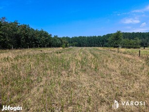 5800 m2-es kertes mezőgazdasági terület Csemőn!