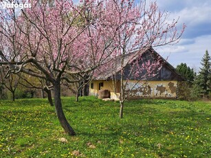 Autentikus borospince Galambok legszebb panorámájú részén!