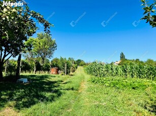 Csodás panoráma az alsópáhoki szőlőbirtokon