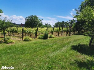 Nyugalom szigete közel a Balatonhoz- telek