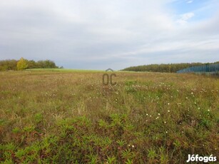 Tatabányai eladó telek