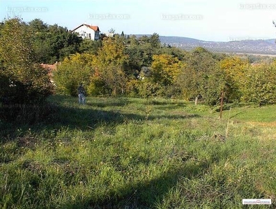 Eladó lakóövezeti telek - Dunabogdány, Pest megye