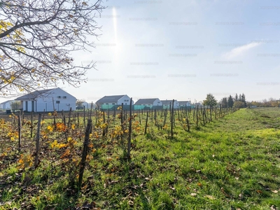 Eladó lakóövezeti telek - Székesfehérvár, Feketehegy