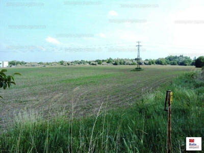 Eladó termőföld, szántó - Pákozd, Fejér megye