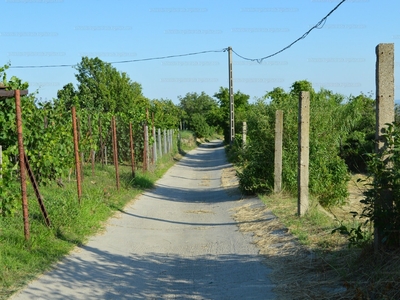 Eladó termőföld, szántó - Szekszárd, Lisztesvölgy utca