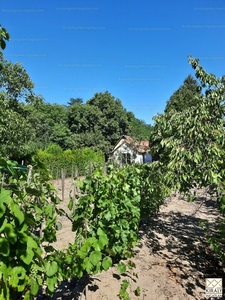 Eladó üdülőövezeti telek - Győr, Győrszentiván