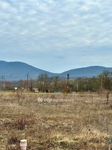 Eger, ingatlan, üzleti ingatlan, 3439 m2, 35.000.000 Ft