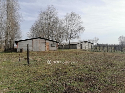 Kiskőrös, ingatlan, mezőgazd. ingatlan, 1100 m2, 62.000.000 Ft