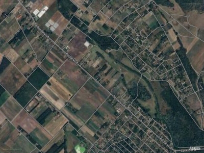 Kiskundorozsma, Szeged, ingatlan, mezőgazd. ingatlan, 20000 m2, 5.300.000 Ft