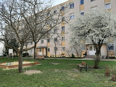 Szedreskert, Székesfehérvár, ingatlan, lakás, 60 m2, 49.900.000 Ft