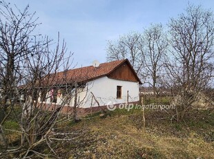 Eladó átlagos állapotú nyaraló - Orosháza