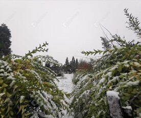 Eladó felújítandó nyaraló - Nagykanizsa