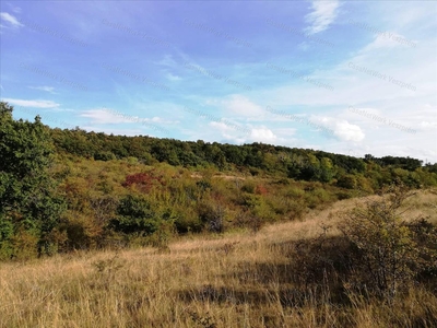 Eladó mezőgazdasági ingatlan - Balatonalmádi