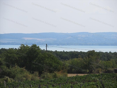 Eladó mezőgazdasági ingatlan - Balatonudvari