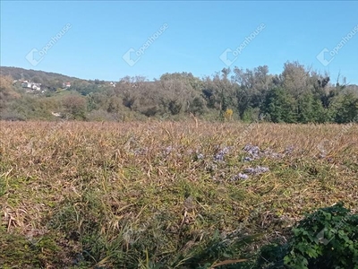 Eladó termőföld, szántó - Tatabánya