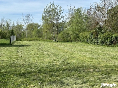 Dömsöd, Dunához vezető utca, 675 m2-es, telek