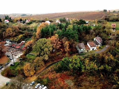 Eladó telek Eger, Szépasszony-völgy, Szépasszonyvölgy utca