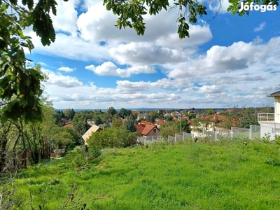 Panorámás, 1157 nm-es telek Érd-Parkváros faneves utcájában!