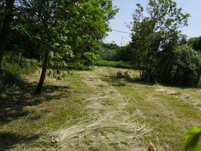 Eladó telek - Sarud