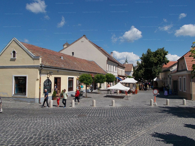 Kiadó utcai bejáratos üzlethelyiség - Szentendre, Dumtsa Jenő utca