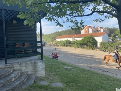 Loncsos, Várpalota, ingatlan, telek, 63.000.000 Ft